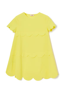 A-Line Dress | Polline