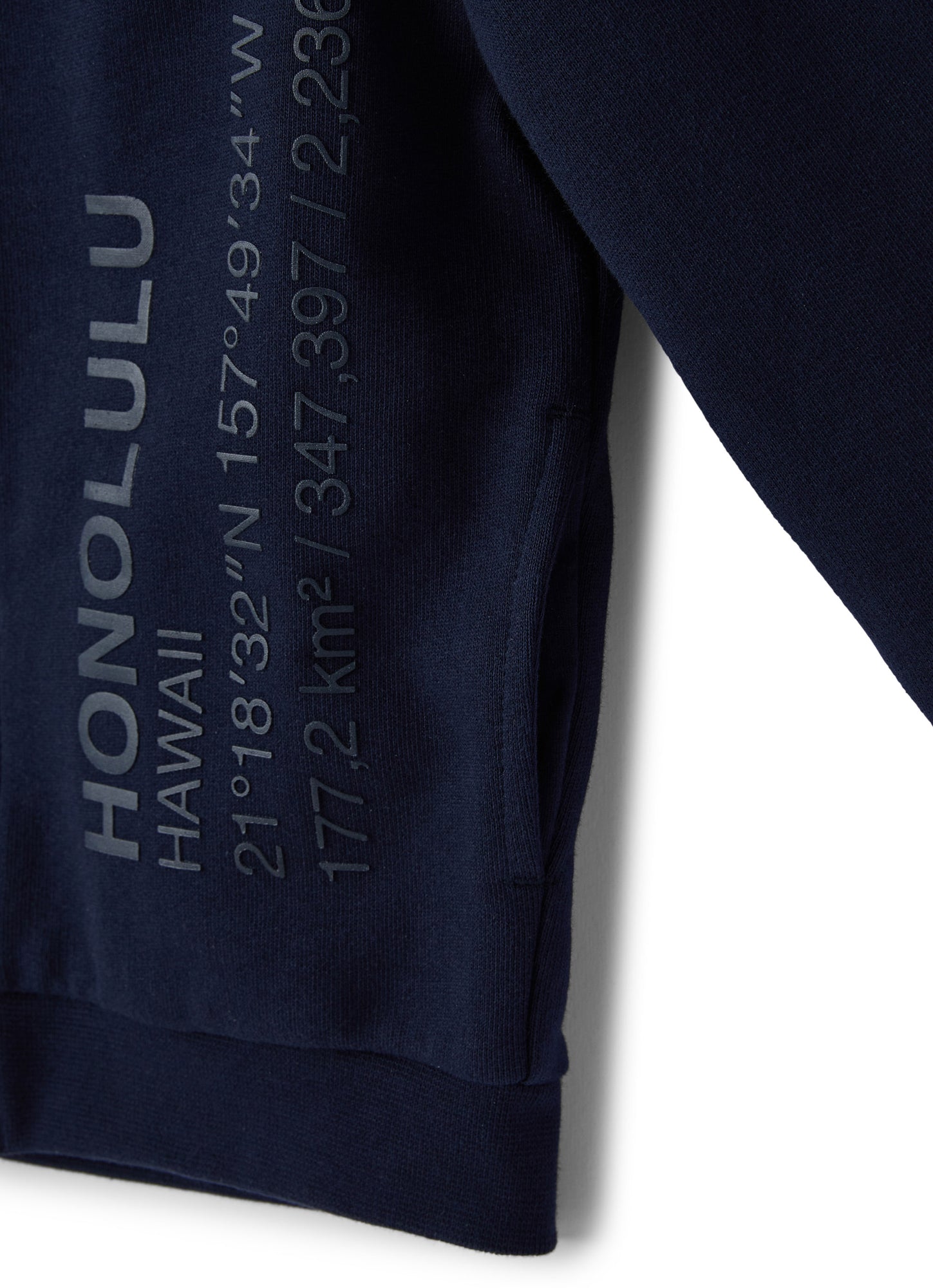 Cotton Sweatshirt with Zip And Hood | Blue