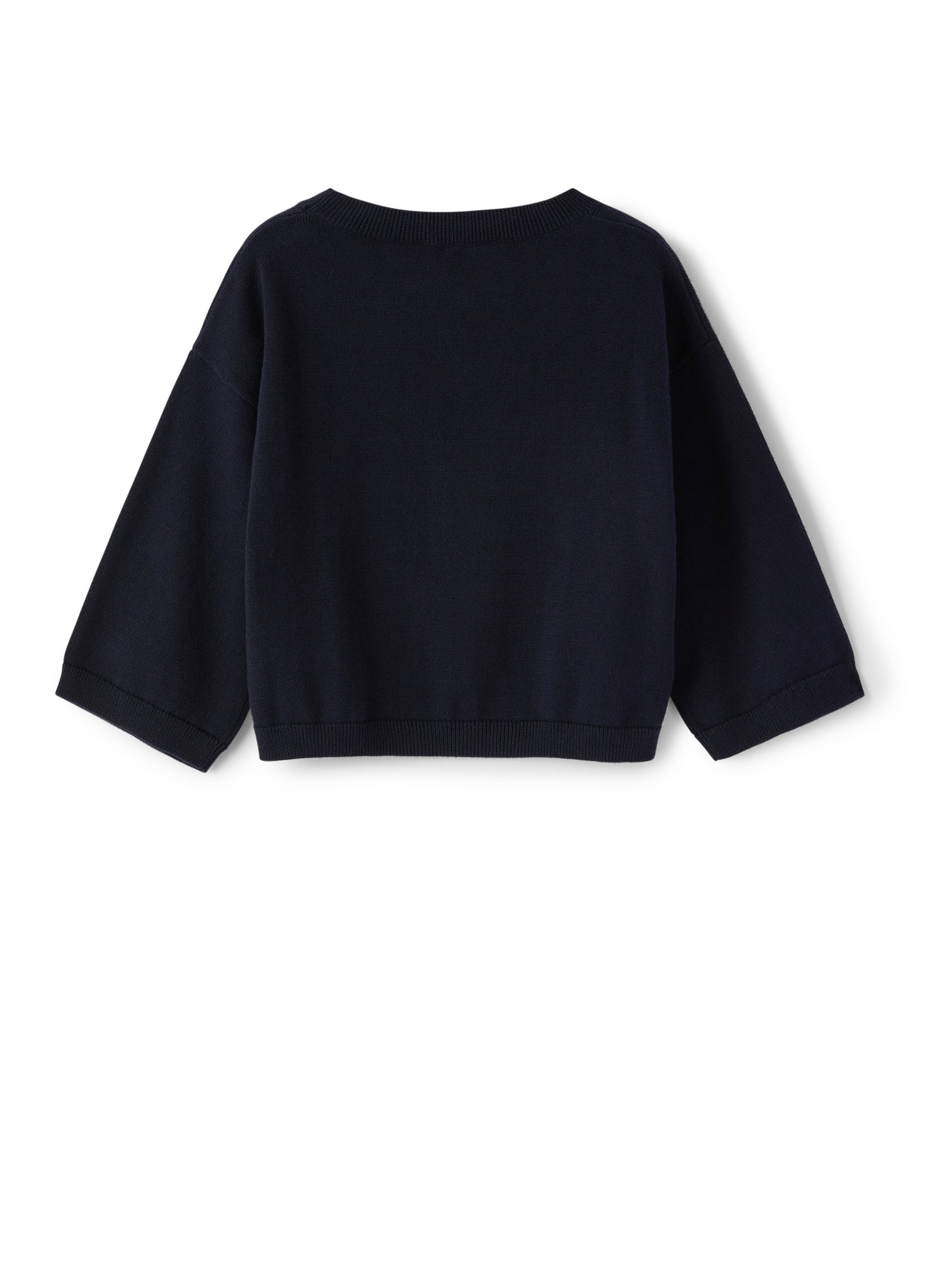 Sweater with Palm Graphic | Blue/White