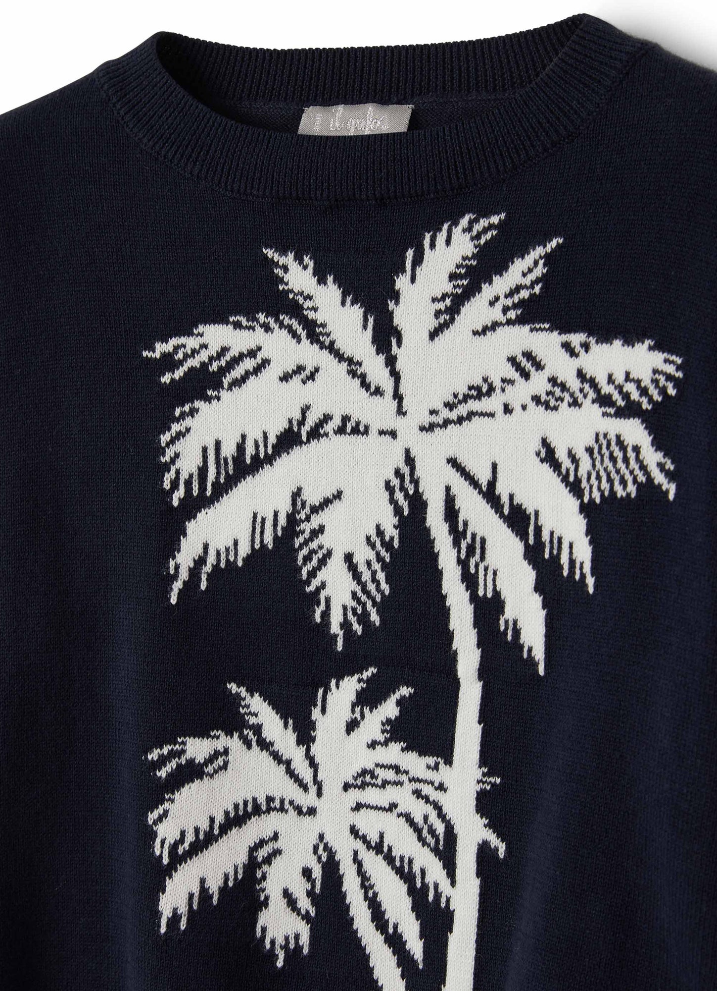 Sweater with Palm Graphic | Blue/White