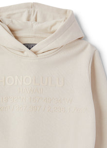 Cotton Sweatshirt with Hood | Shell