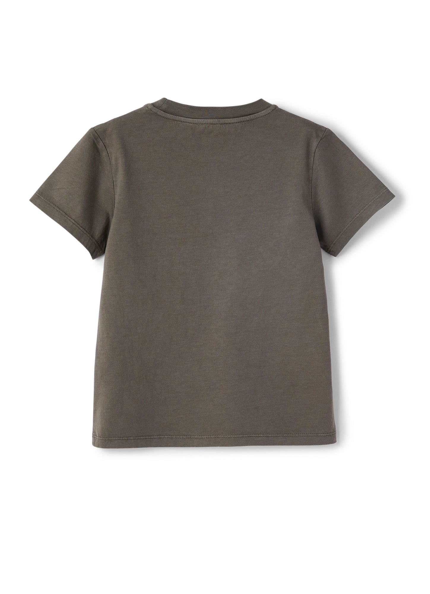 Boys | Jersey T-Shirt with Kauai Print | Green Oregano