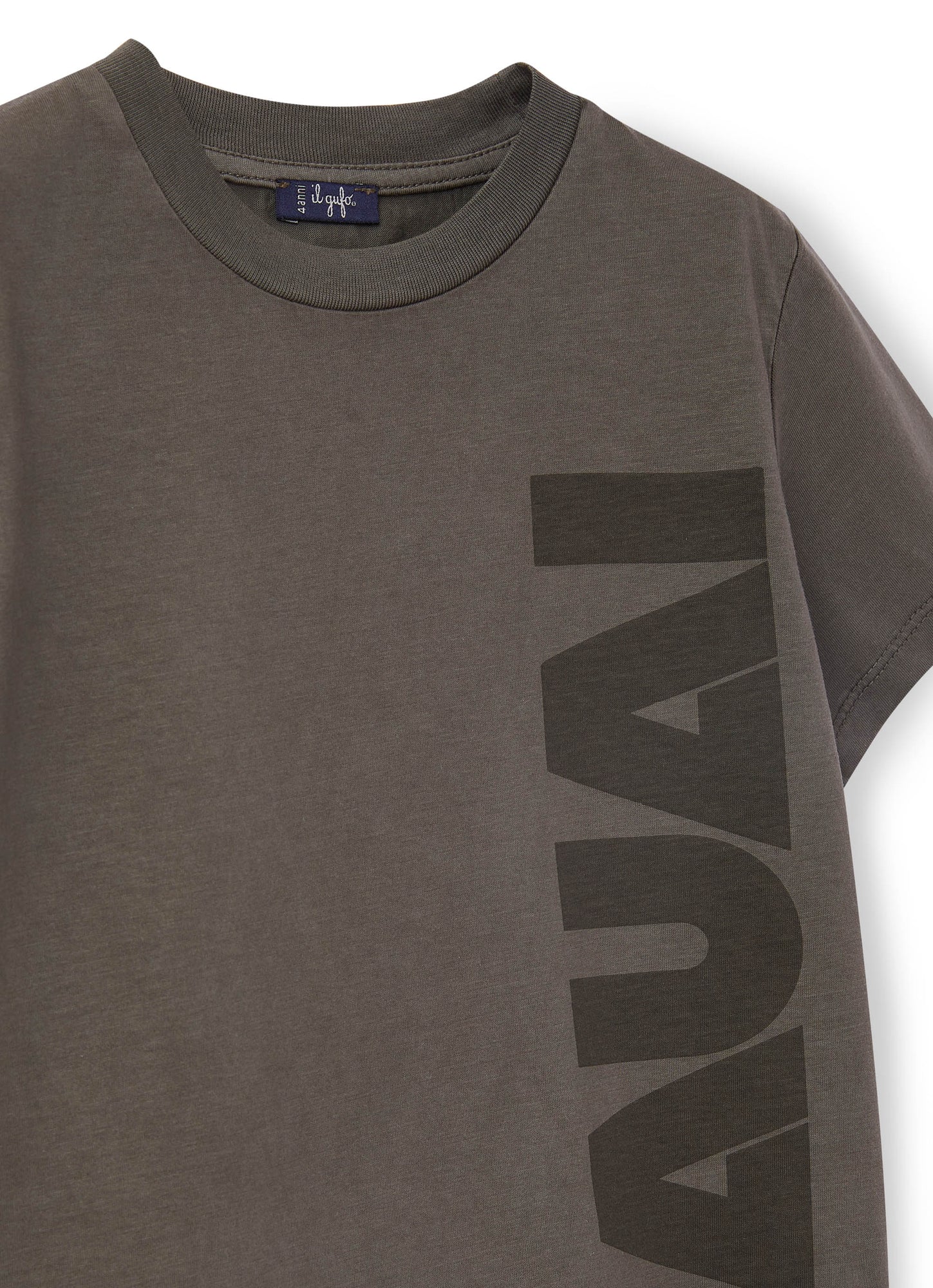 Boys | Jersey T-Shirt with Kauai Print | Green Oregano