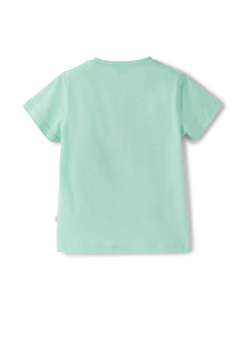 Boys | Short Sleeve T-Shirt with Surf Print | Light Green Aviatore