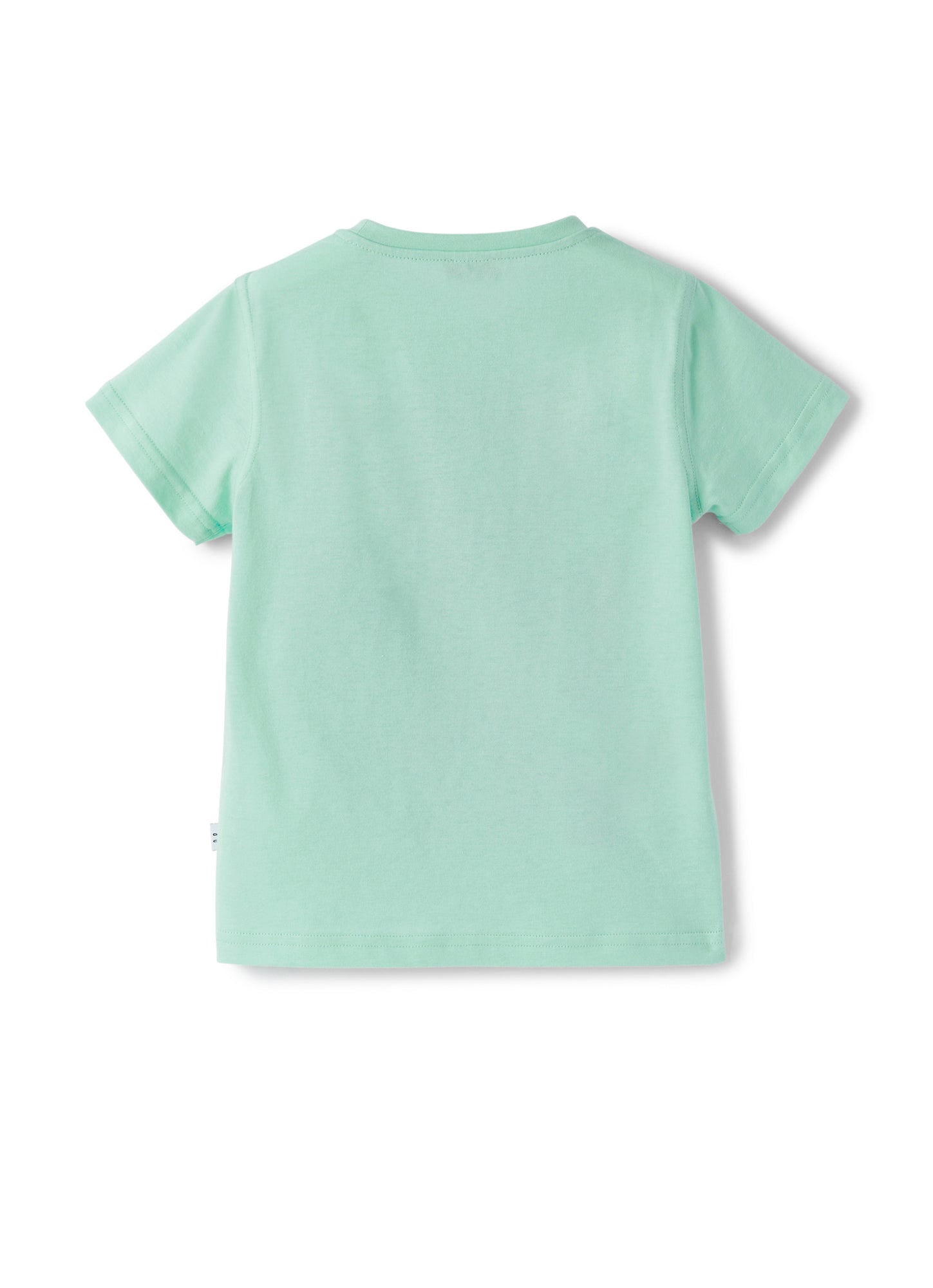 Boys | Short Sleeve T-Shirt with Surf Print | Light Green Aviatore