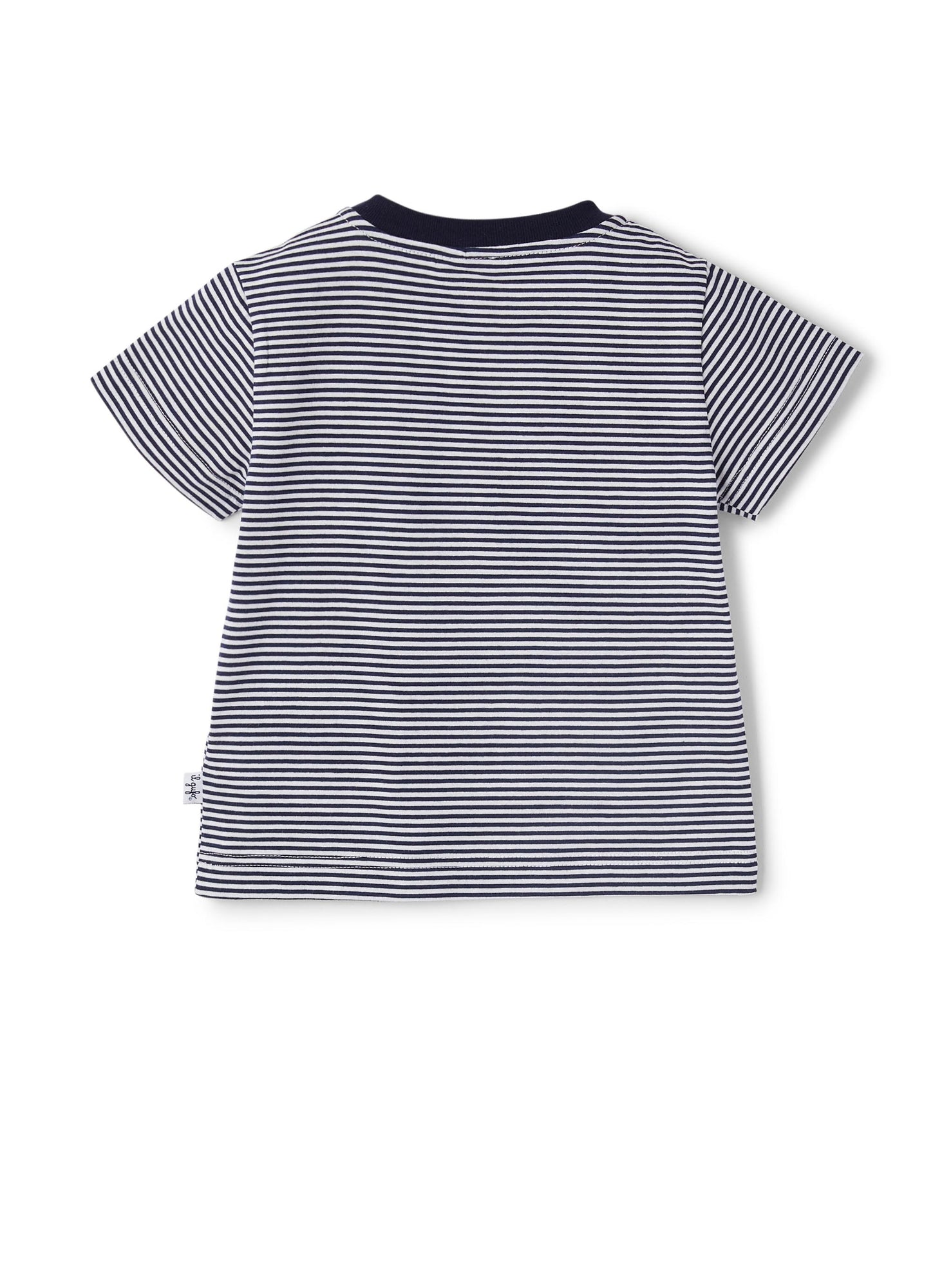 Baby Boys | Short Sleeve T-Shirt with Stripes | Blue