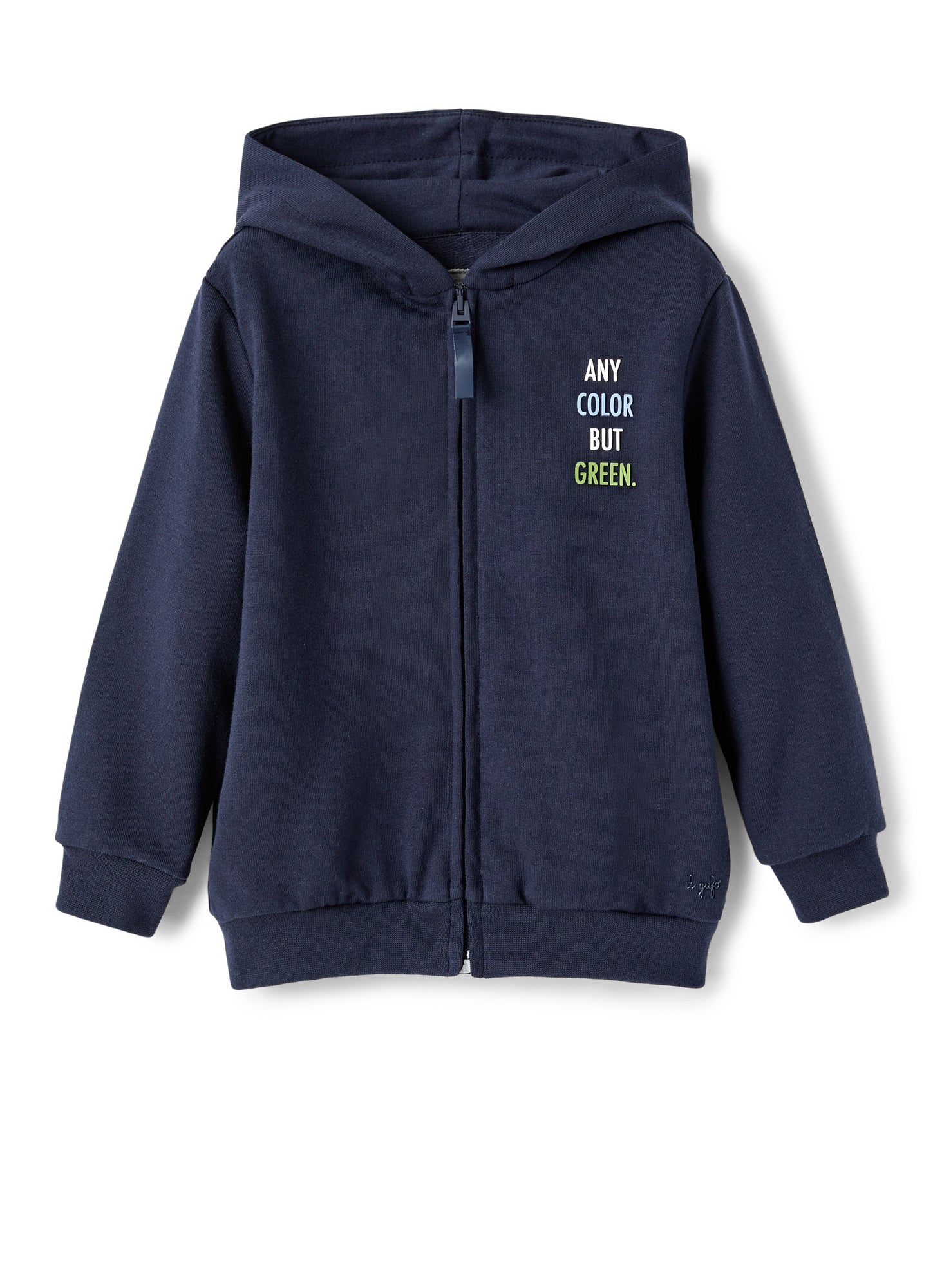 Boys | Sweatshirt with Hood and Front Zip | Blue Anice