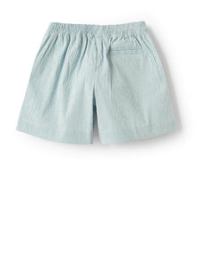 Micro Vichy Bermuda Shorts | Lichene