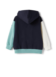 Zip-Front Sweatshirt in Color-Block Pattern | Blue/Sage Green