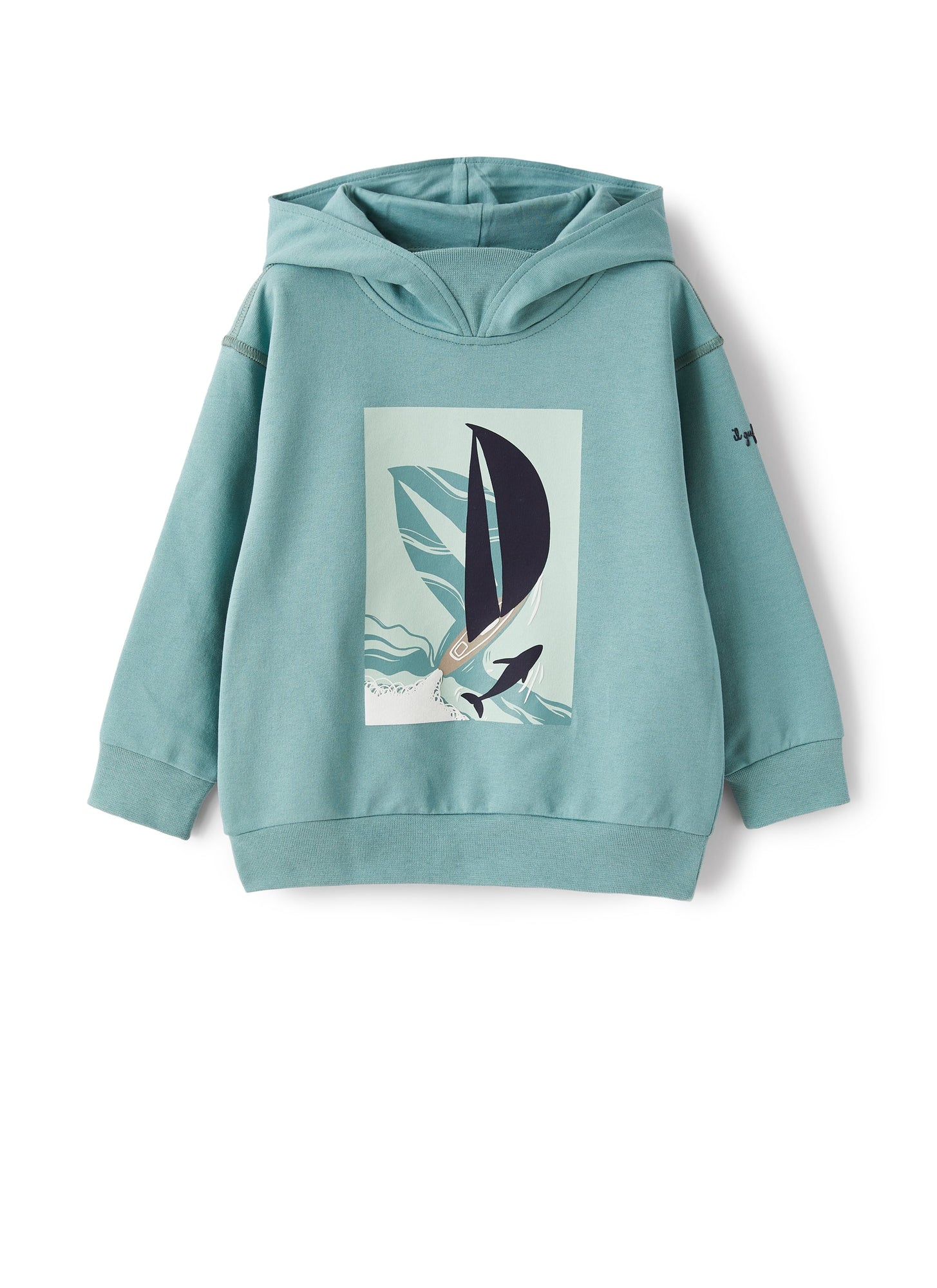 Hooded Sweatshirt with Sailboat Print | Salvia/Salvia