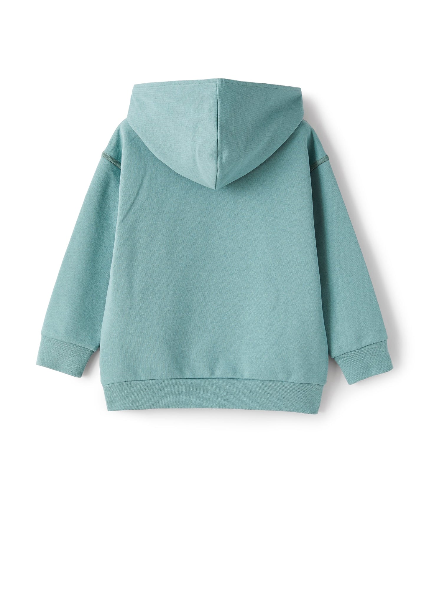 Hooded Sweatshirt with Sailboat Print | Salvia/Salvia
