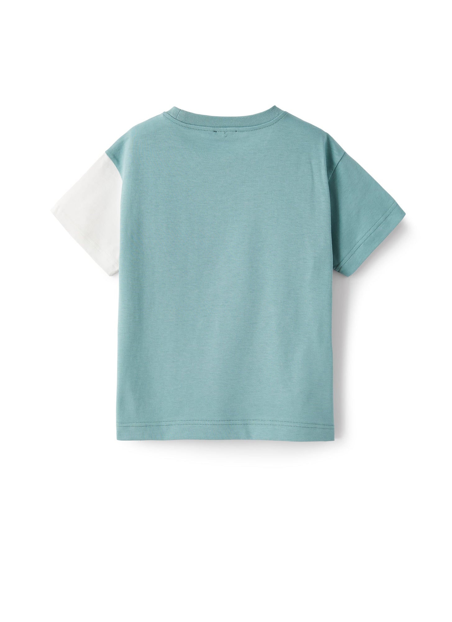 Jersey T-Shirt with Color-Block Pattern | Blue/Sage Green