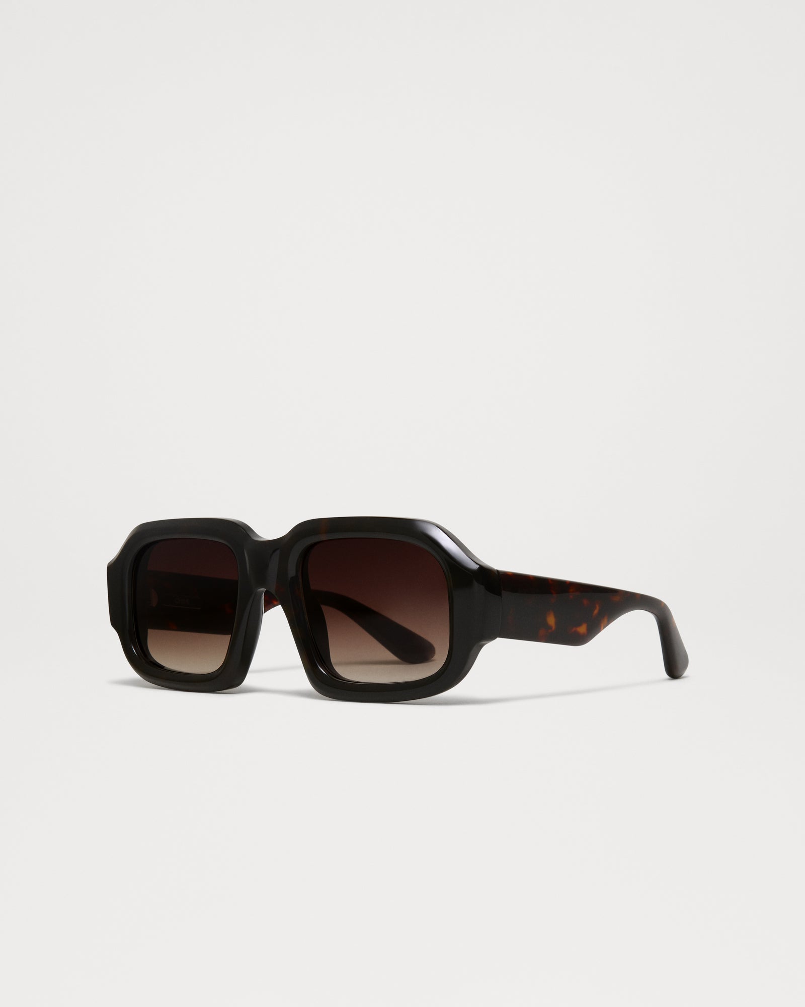 Plata | Tortoise