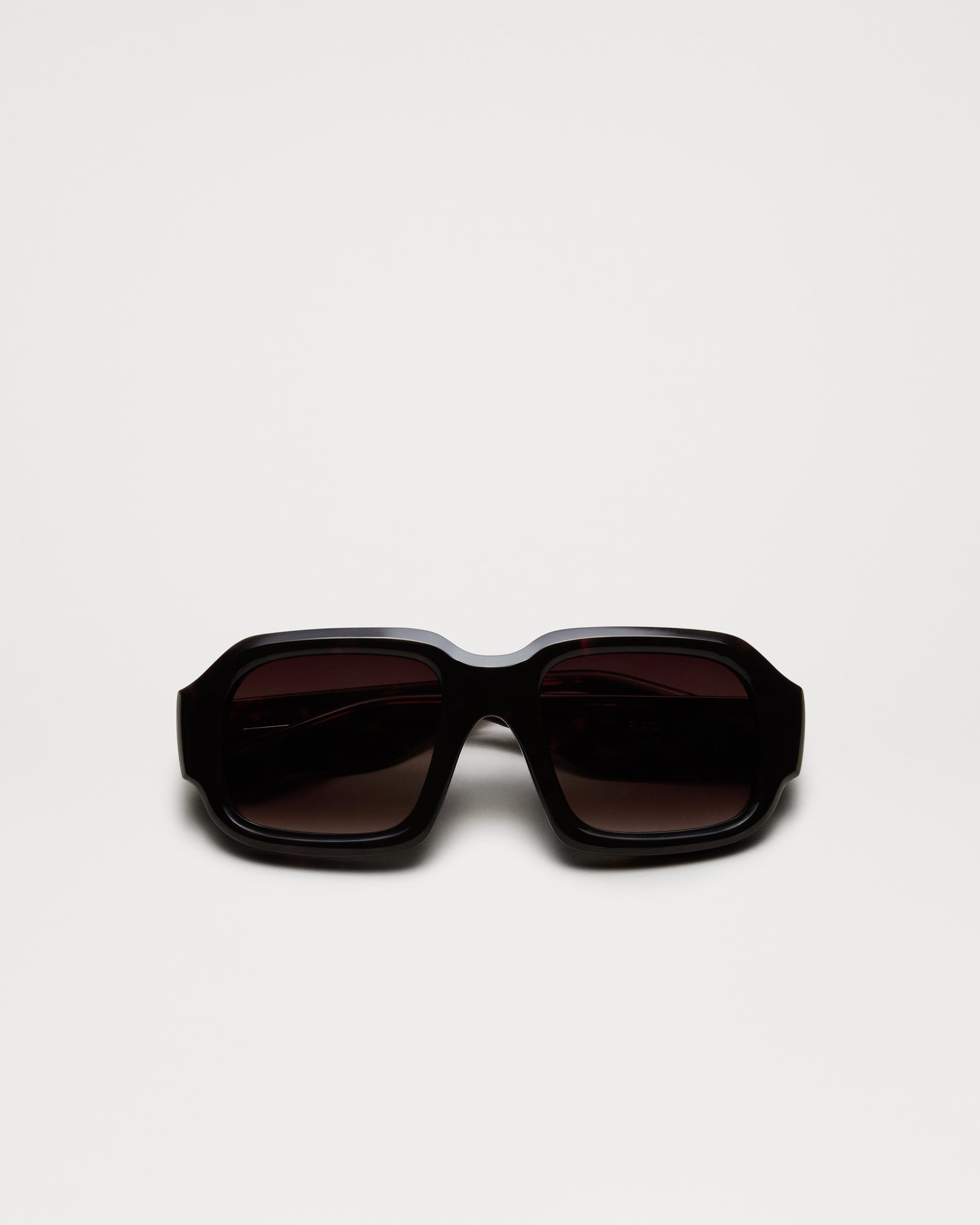 Plata | Tortoise