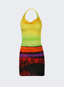 Women | Louisa Ballou | One Shoulder Plunge Back Mini Dress | Sunrise