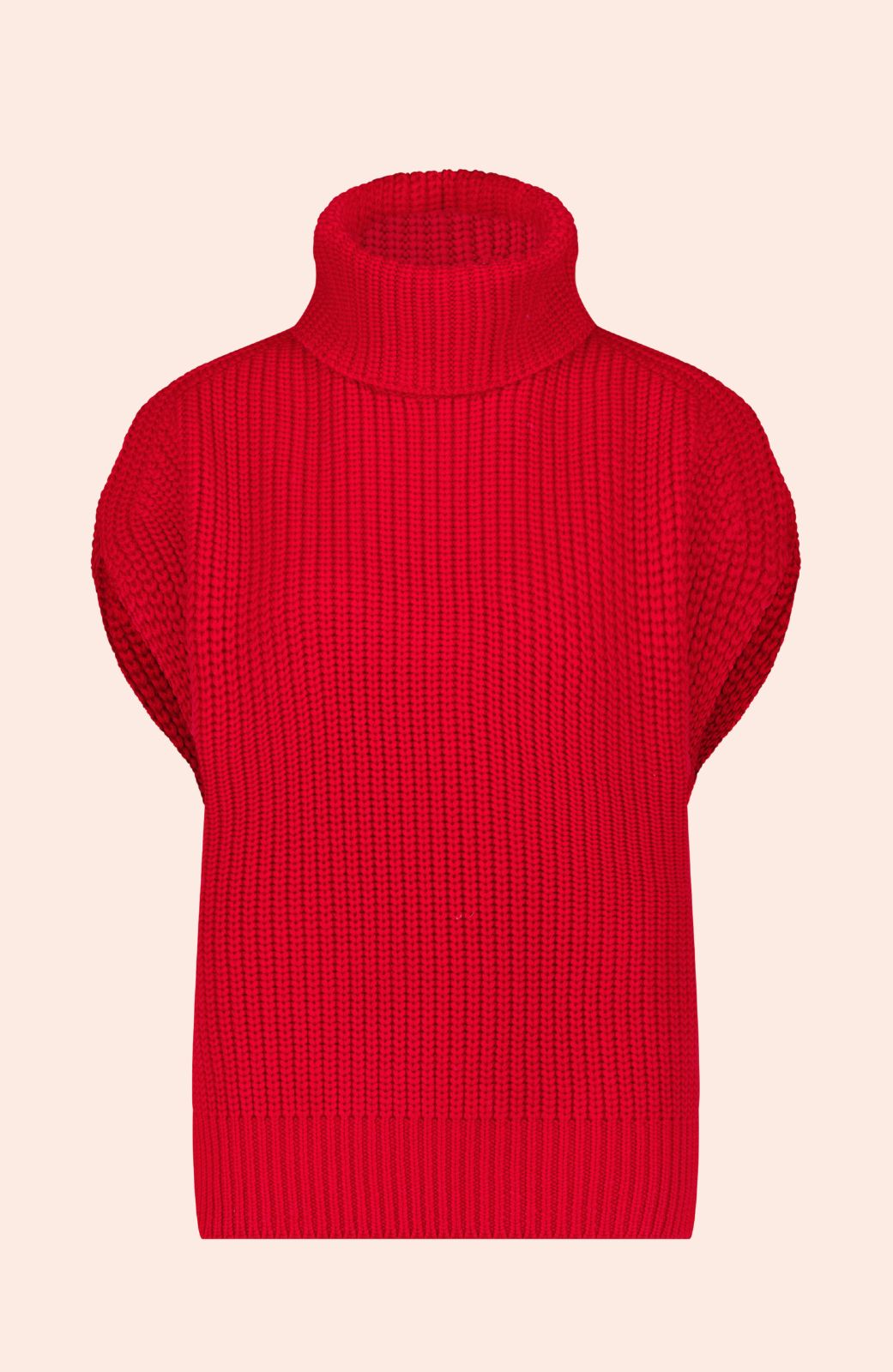 Sleeveless Turtleneck Sweater | Ruby