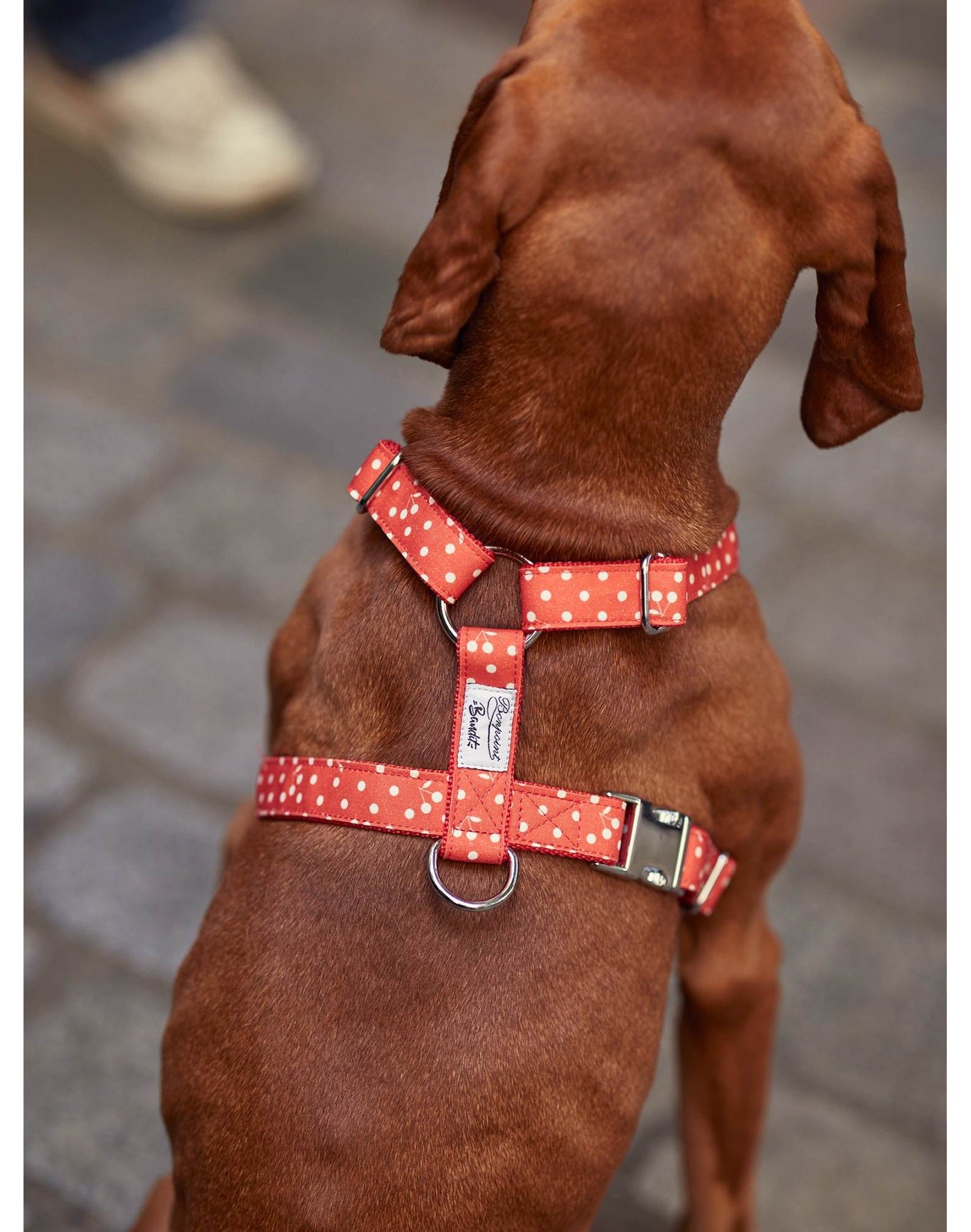 Pet Accessories | Dog Harness | Red