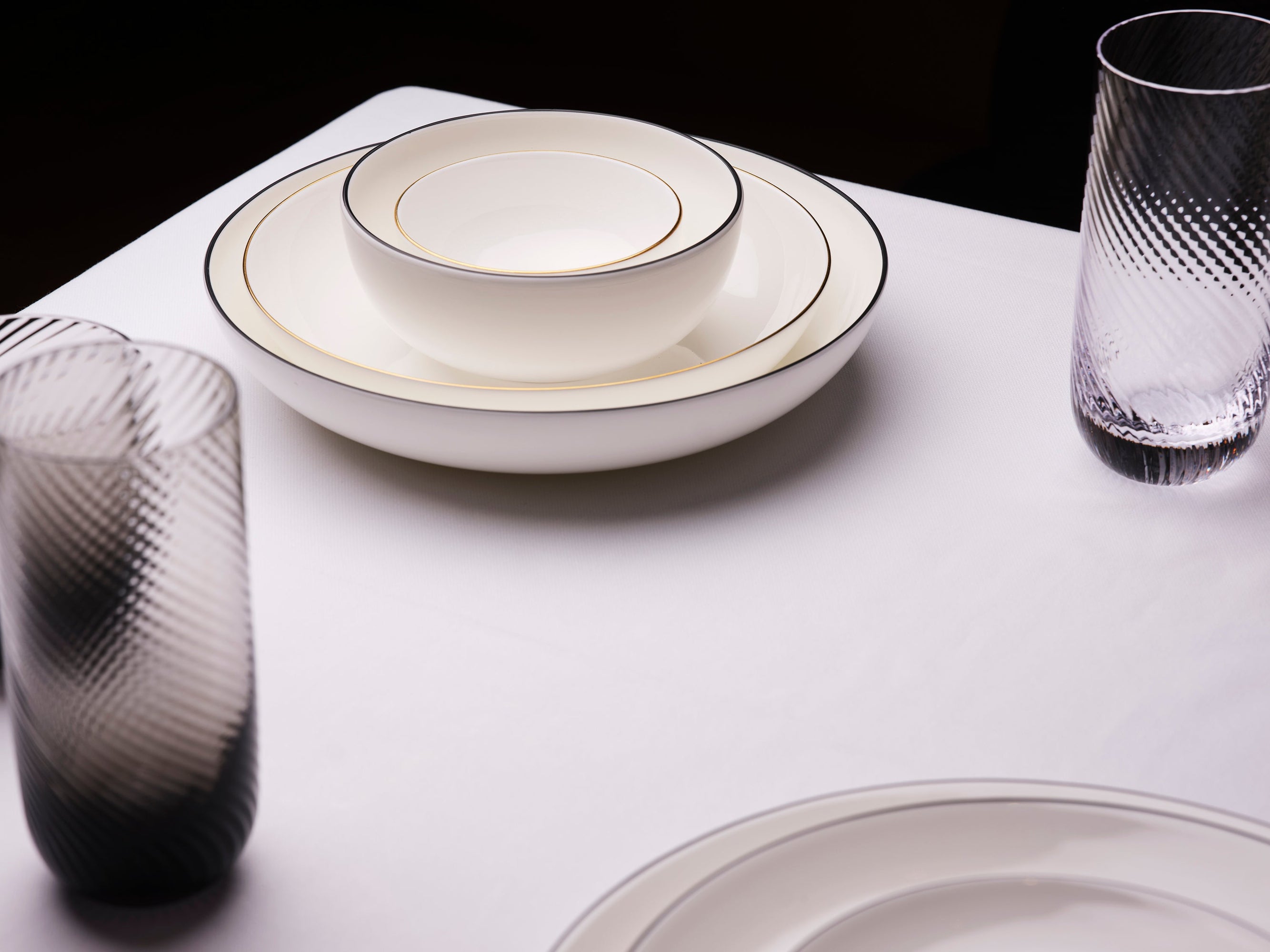 Rimmed Dinner Plate (Set of 2) | Bone China | White | Gold | Line Collection