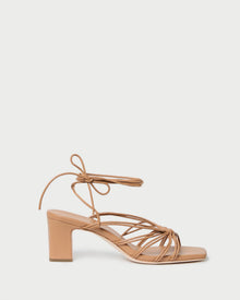 Color: Dune