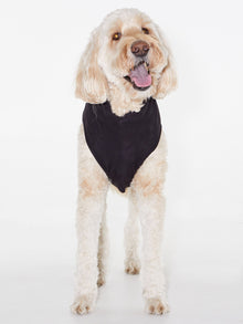 Soul by SoulCycle | Hooded Dog Tee Black | Black