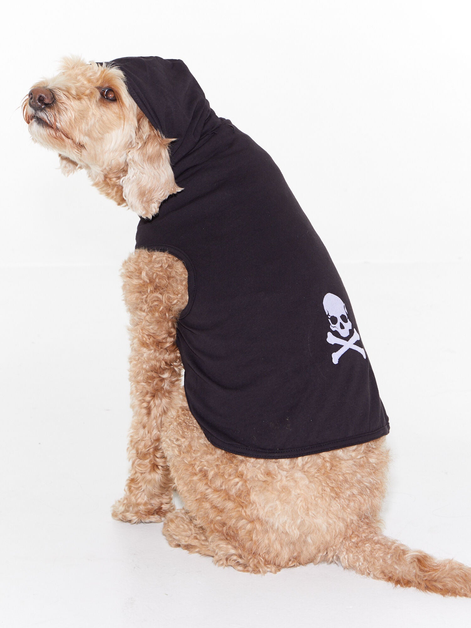 Soul by SoulCycle | Hooded Dog Tee Black | Black