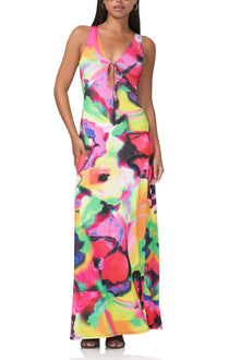 Selena Maxi Dress | Spray Floral