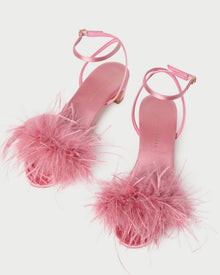 Color: Rose