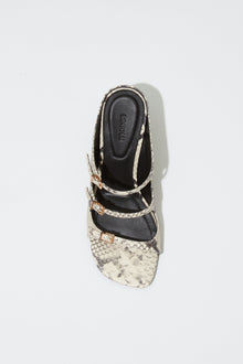 Black and cream snake print leather mule with gold buckle straps, viewed from above.