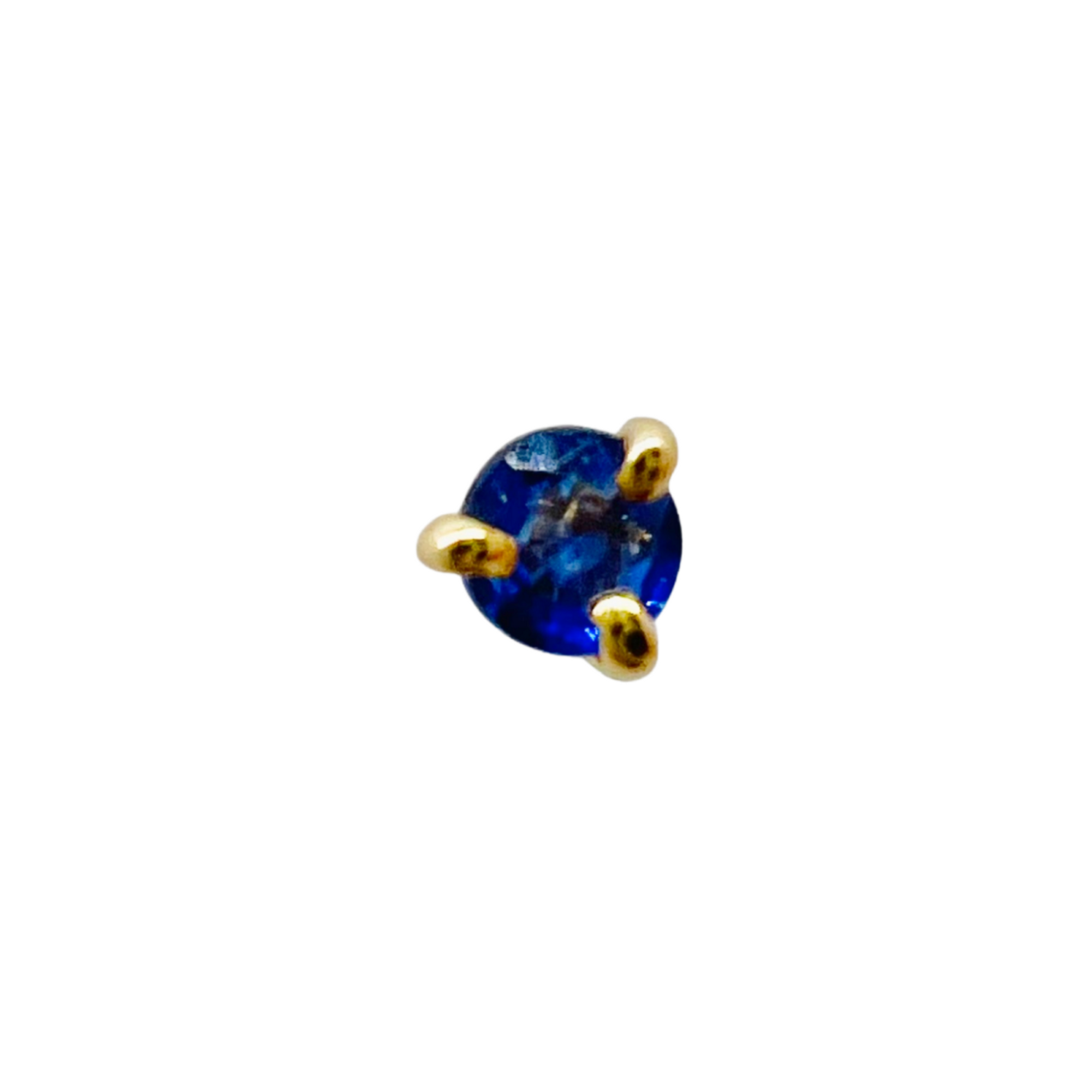 Precious Sapphire Earring | 10K Yellow Gold