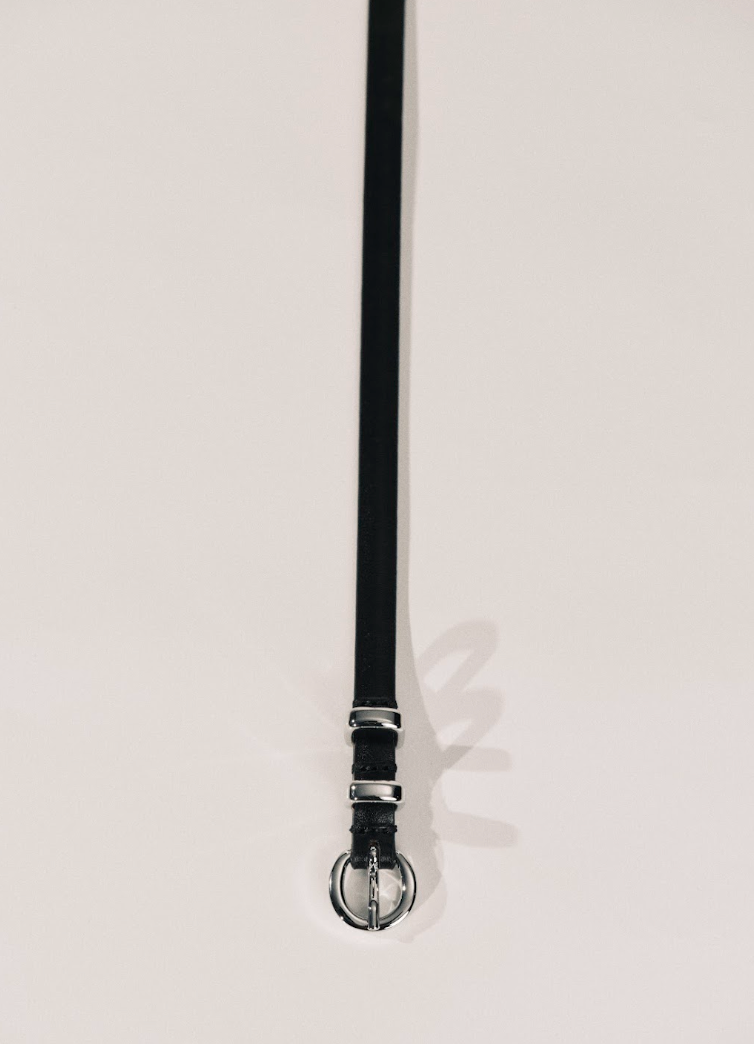 Thin Belt Belt | Black & Silver