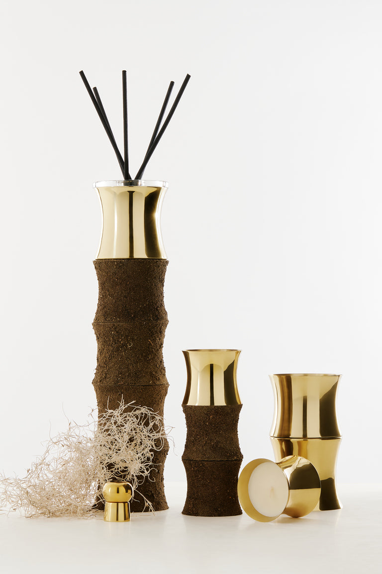 Eclectic Candle Medium | Root + Brass