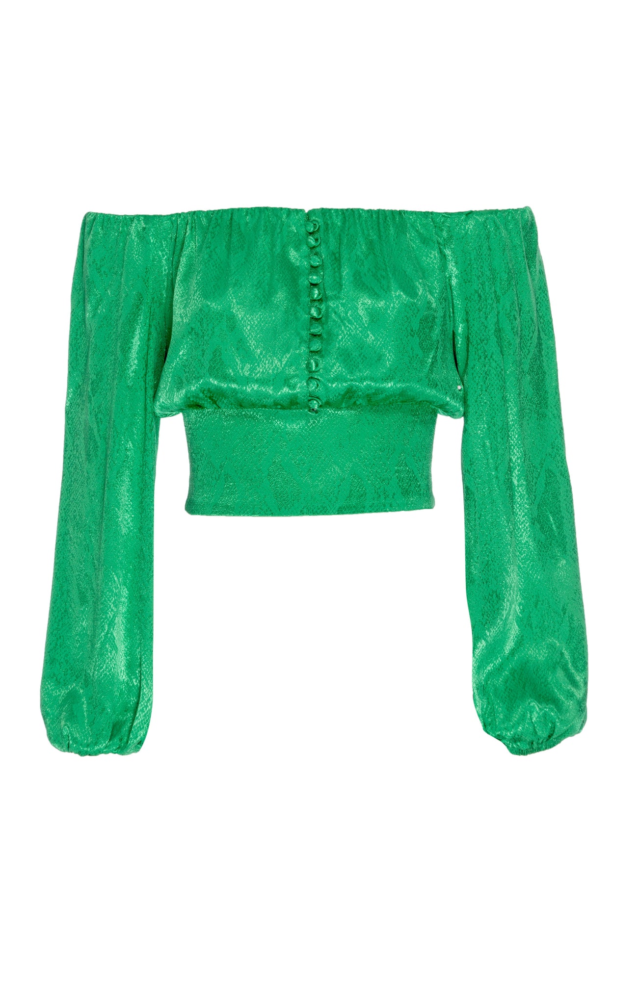 Jonas Top | Fern Green