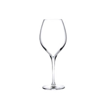 Vinifera White Wine Glasses - 360 Cc | Clear Crystal | Set of 2