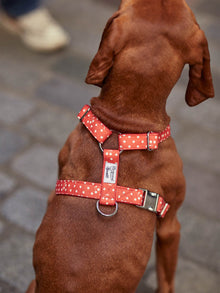 Pet | Dog Harness | Red