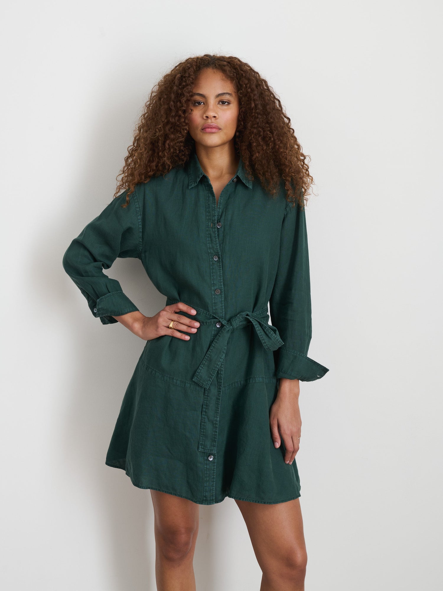 Women | Lilia Shirt Dress | Linen Pine Grove