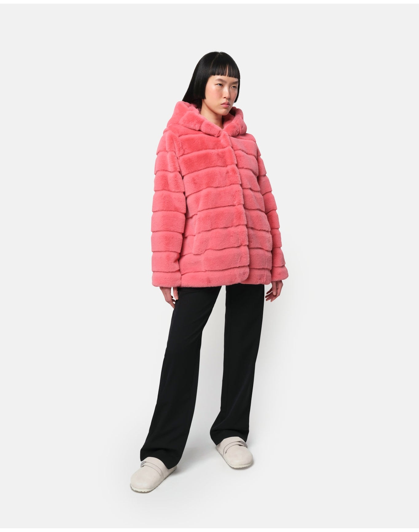 Goldy Coat | Geranium