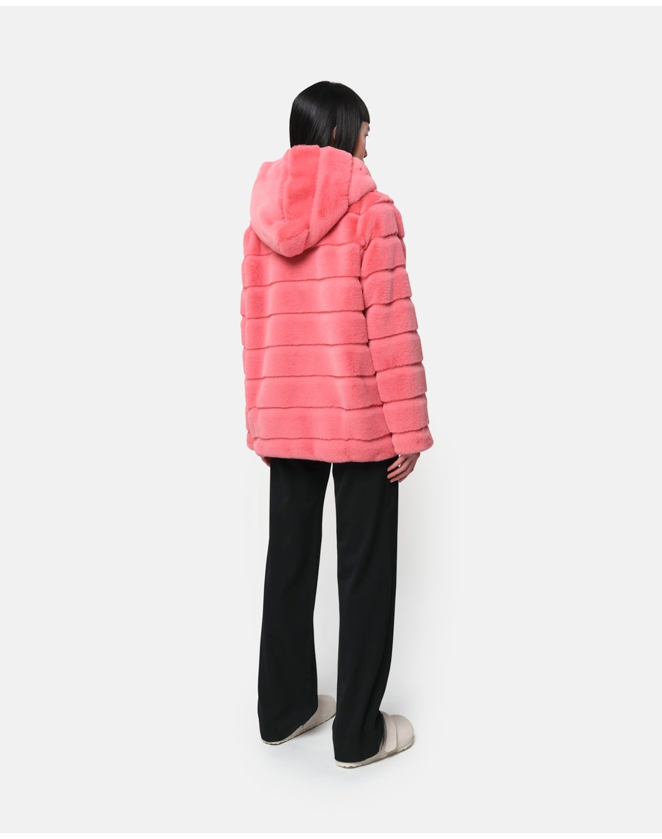 Goldy Coat | Geranium