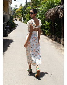 Renata Dress | Brule Multi Floral