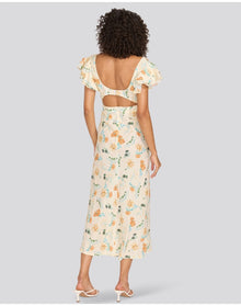 Renata Dress | Brule Multi Floral