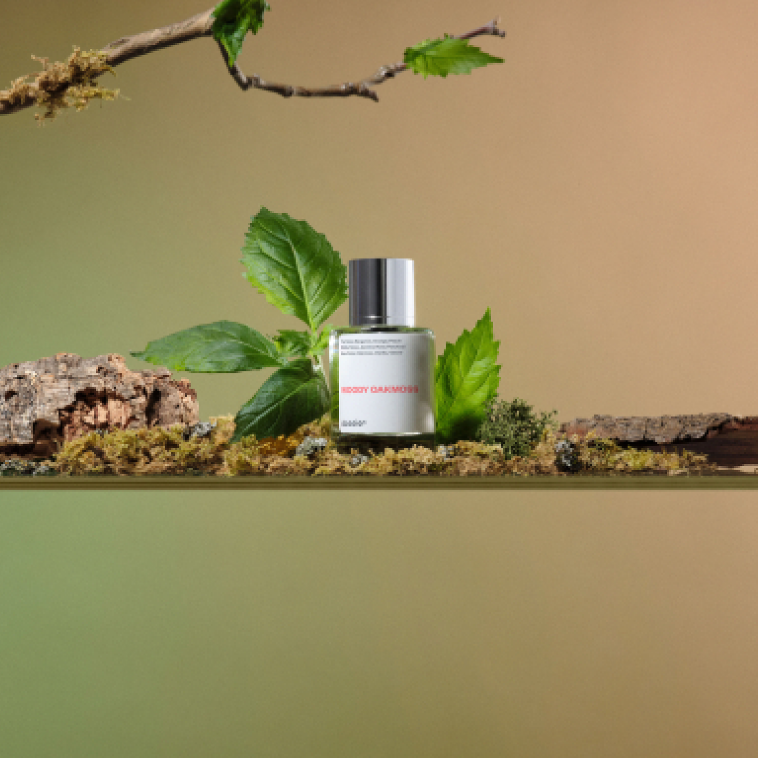 Women | Woody Oakmoss | Inspired by Chanel's Coco Mademoiselle (50 ml & 100 ml)