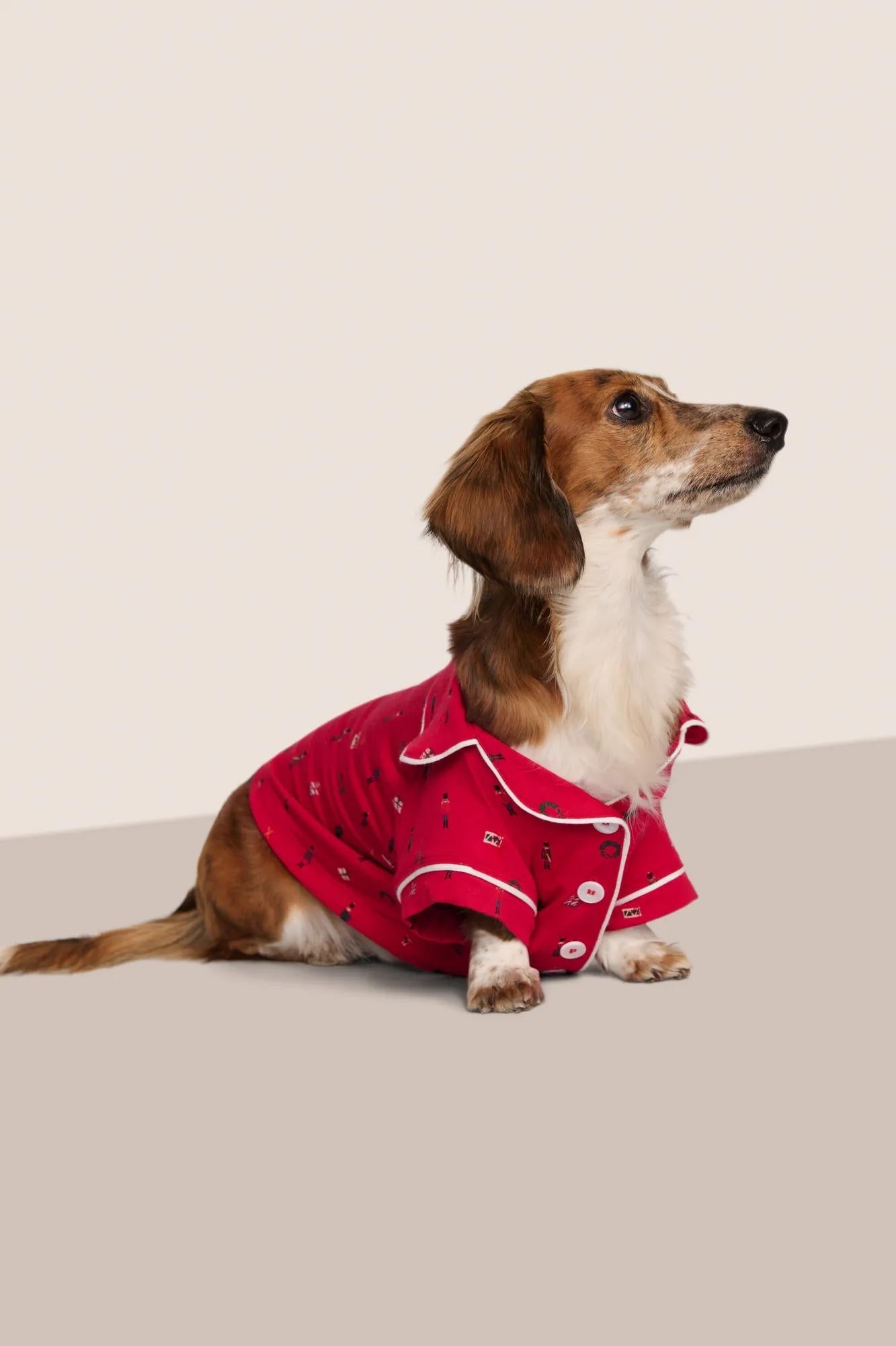 Model is wearing Gisele Printed TENCEL Modal Pet PJ  in Nutcracker Holly Red/Ivory