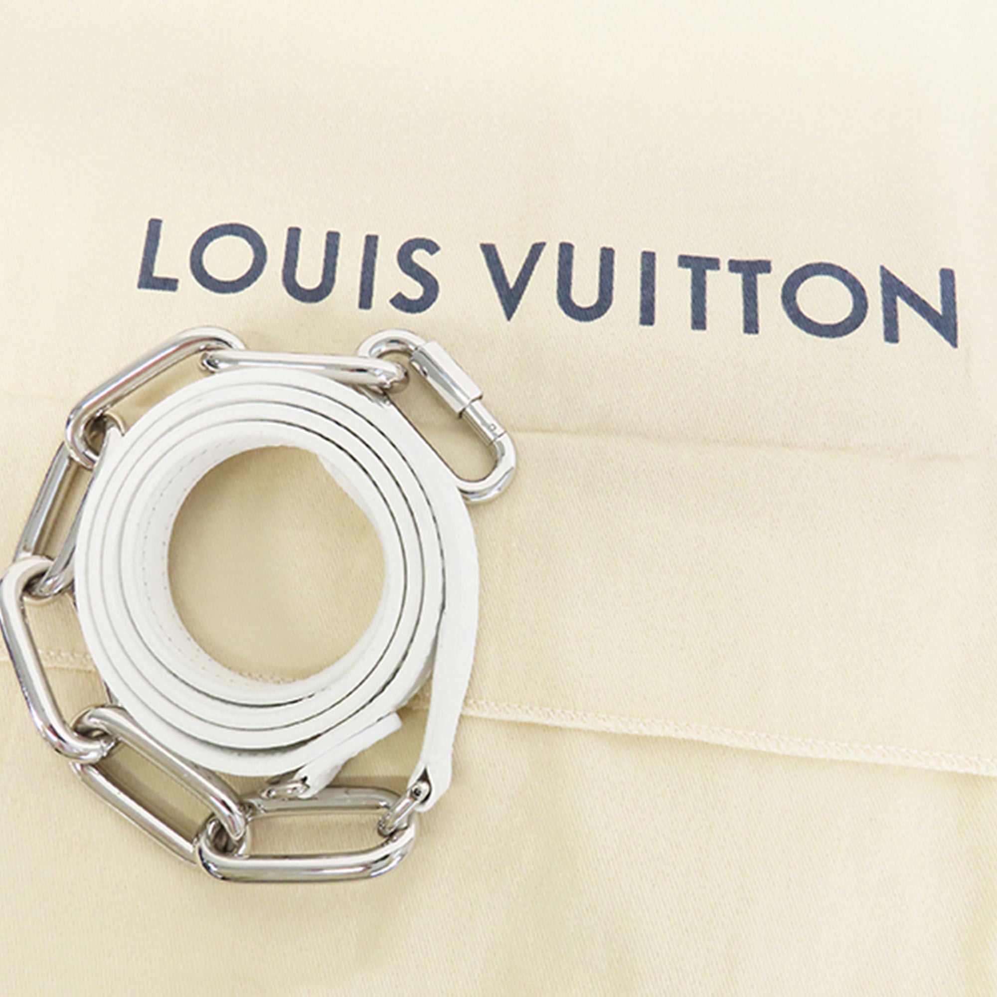 Louis Vuitton Pre-Owned Everyday Sac Plat XS | Women | Blue