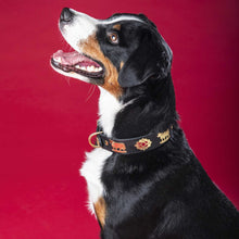 Dog Collar | Black