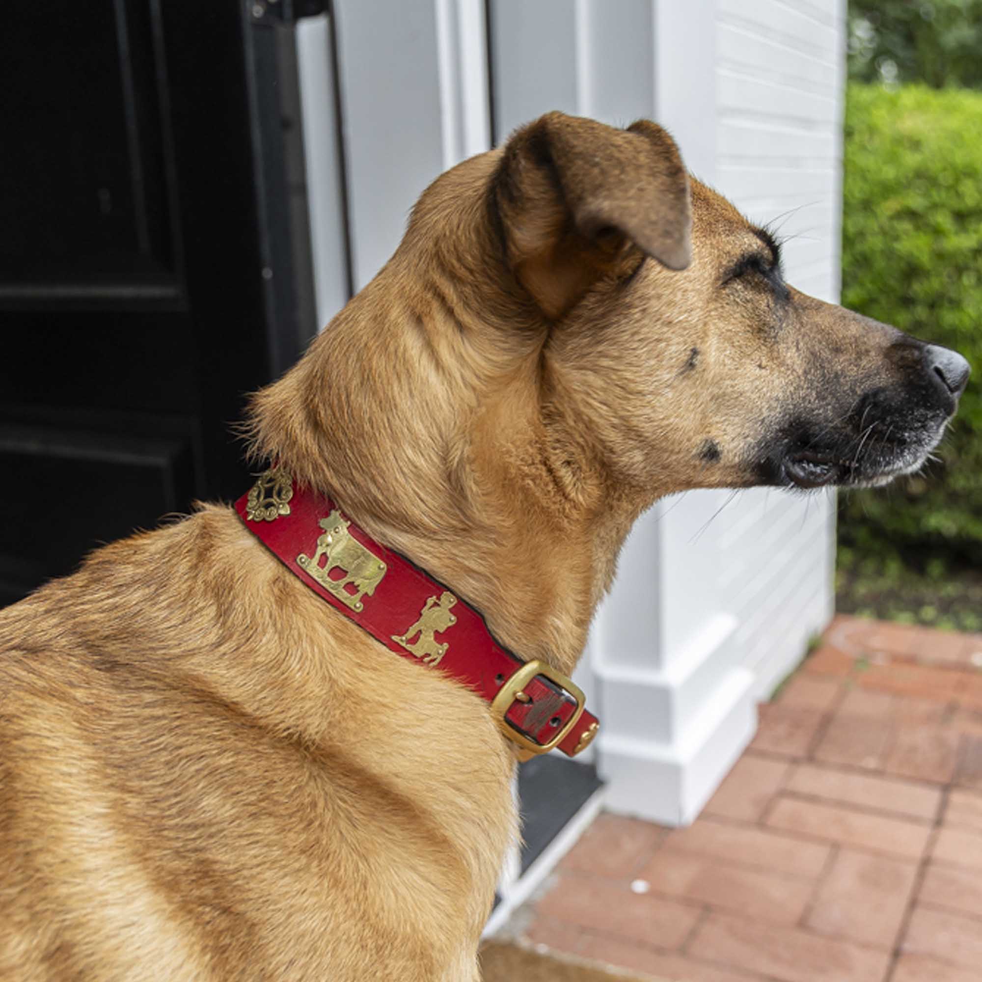 Dog Collar | Red