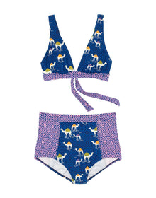 Adore Me Kaya in color Hump Day C01 and shape two piece