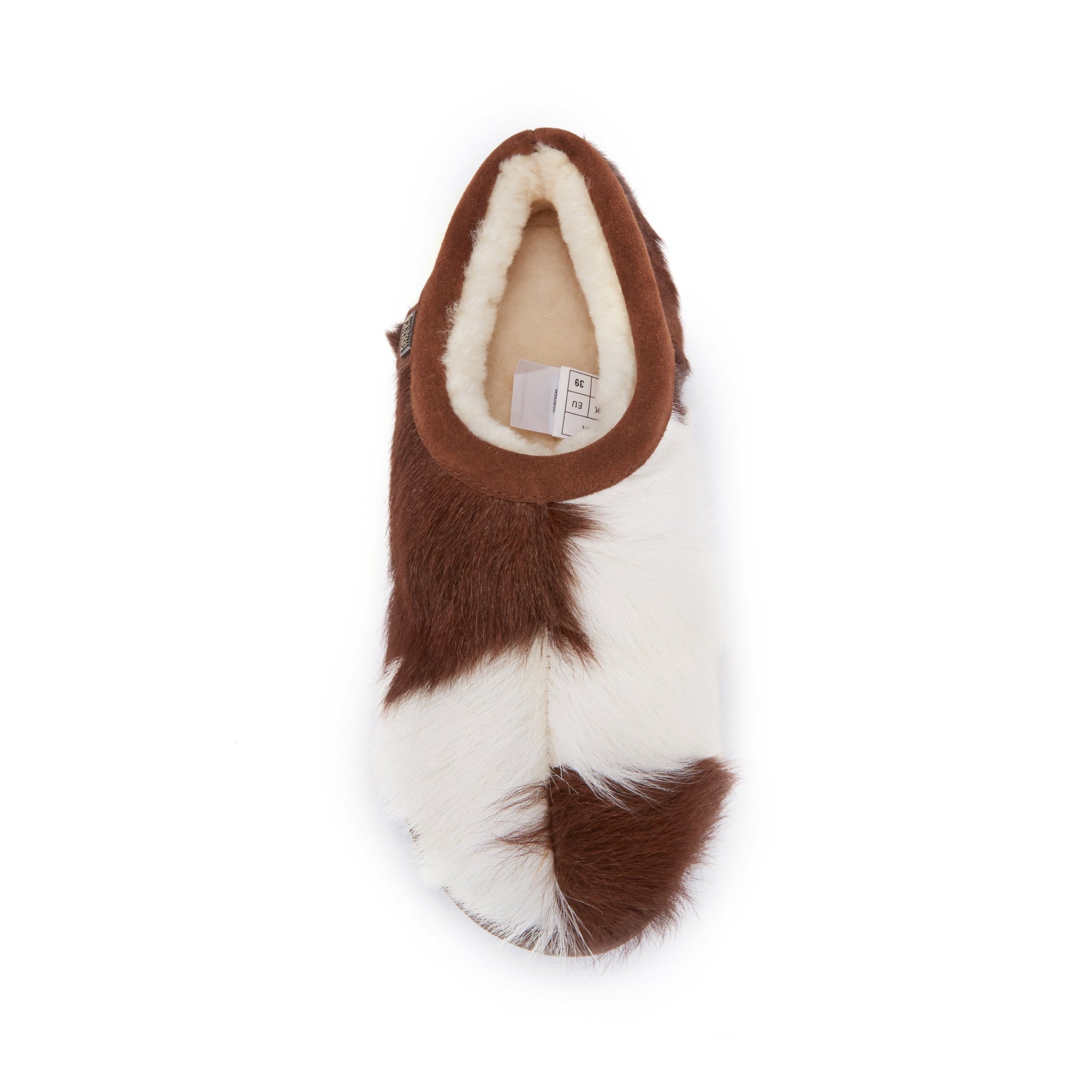OUTBACK WOLF - Australia Luxe Collective