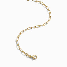 Awe Inspired  Bracelets Paperclip Chain Bracelet