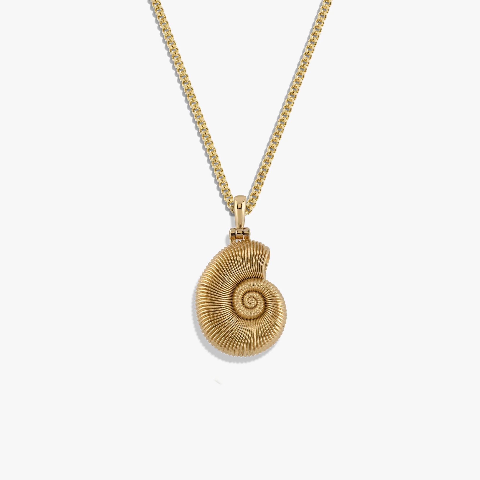 Awe Inspired Necklaces 14K Yellow Gold Vermeil / 16-18 Deep Sea Ammonite Shell Necklace