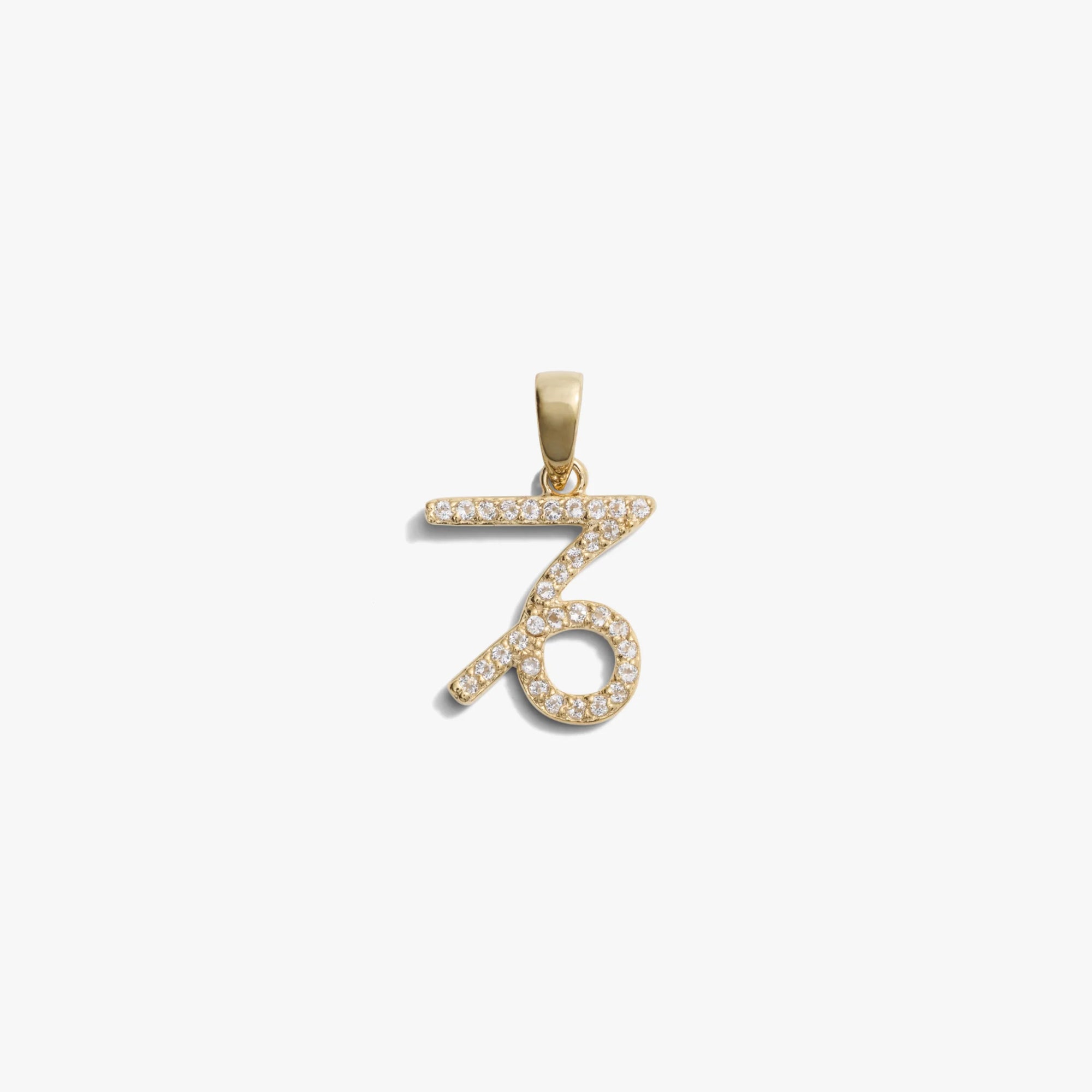 Awe Inspired Pendants 14K Yellow Gold Vermeil / Capricorn / Mini Zodiac Gemstone Amulet