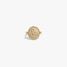 Awe Inspired  Rings Zodiac Element Flip Ring